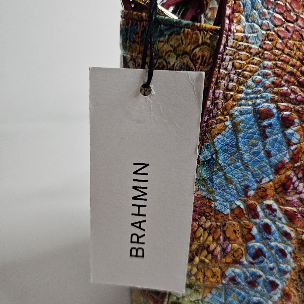 BRAHMIN - Picture 3 of 11